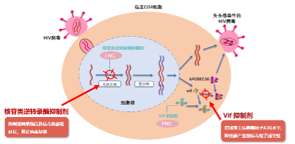 人生就是搏尊龙(中国)有限公司官网